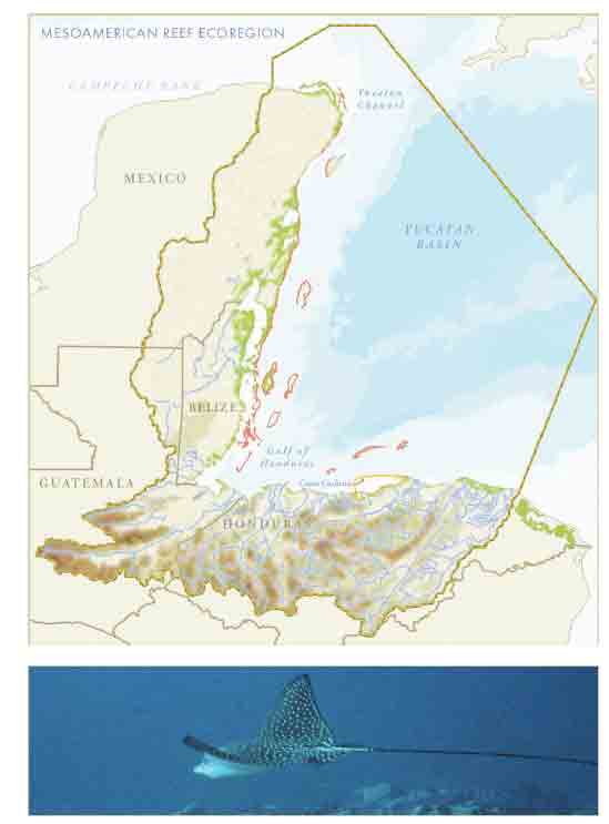 18 area and fish