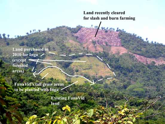 purchased land