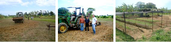 Seedling nursery